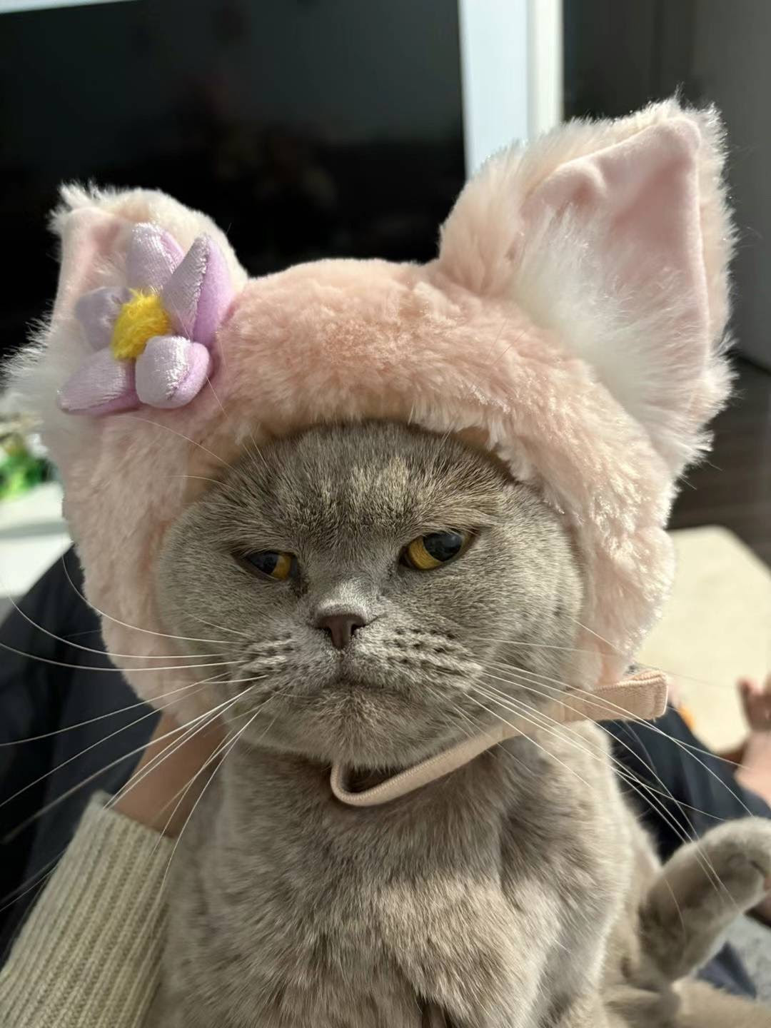 Zoe ZH.